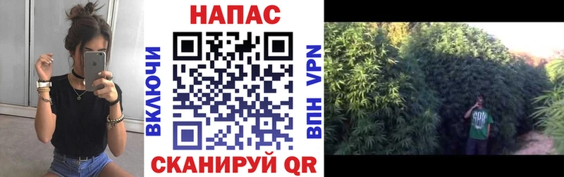 Конопля THC 21%  Покровск 